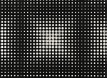 Фото Kirkby Design Eley Kishimoto WK805-05