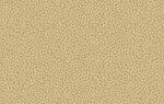 Фото Texam Fluid FL44