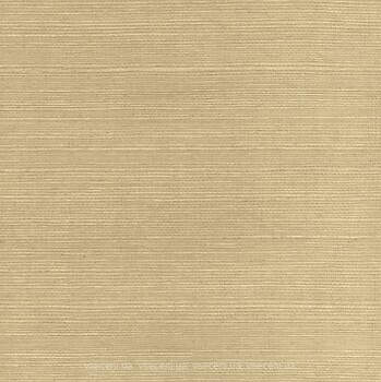 Фото Paper & Ink Pure Elements SY21813