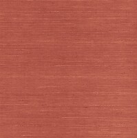 Фото Paper & Ink Pure Elements SY21821