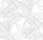 Фото Paper & Ink Pure Elements SY20200