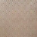 Фото York Geometric Resource Library GM7501