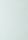 Фото Anna French Small Scale AT79163