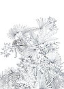 Фото Caselio L'odyssee 101479919
