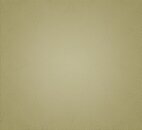 Фото Texam Shine SH52