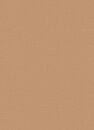 Фото Erismann Casual Chic 12143-11