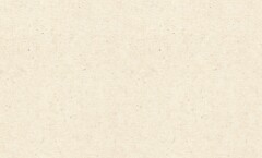Фото Rasch Concrete XL 974218