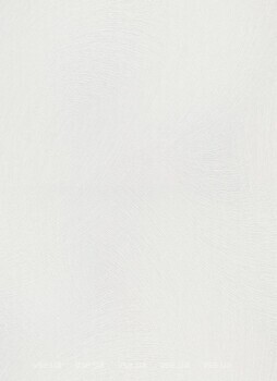 Фото Erismann Spotlight 2 12199-01