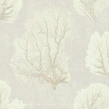 Фото York Aviva Stanoff Signature Collection VA1208