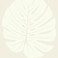 Фото York Aviva Stanoff Signature Collection VA1232
