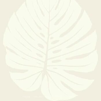 Фото York Aviva Stanoff Signature Collection VA1232