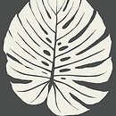 Фото York Aviva Stanoff Signature Collection VA1236