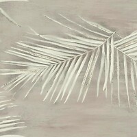 Фото York Aviva Stanoff Signature Collection VA1266