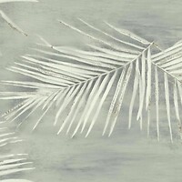 Фото York Aviva Stanoff Signature Collection VA1269