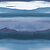 Фото York Aviva Stanoff Signature Collection VA1277