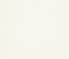 Фото Rasch Wallton 167009