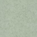 Фото Caselio Beton 2 BTO101487332