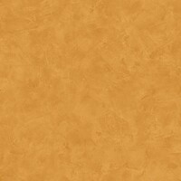 Фото Caselio Patine 2 PAE100222388