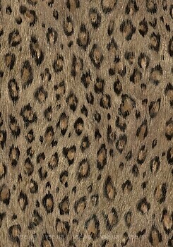 Фото Marburg Wallcoverings Melange 36128