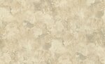 Фото Rasch Ancona 944068
