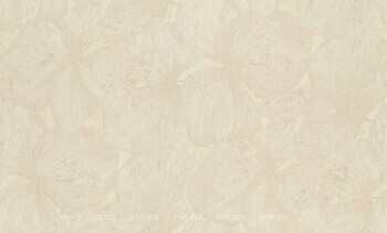 Фото Rasch Ancona 944129