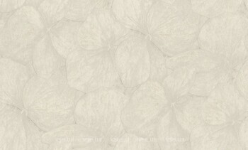 Фото Rasch Ancona 944136
