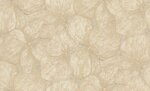 Фото Rasch Ancona 944143