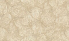 Фото Rasch Ancona 944143