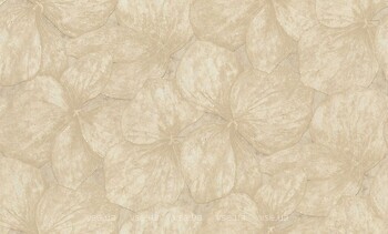 Фото Rasch Ancona 944143