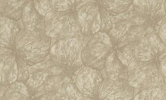 Фото Rasch Ancona 944167