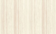 Фото Rasch Ancona 944235