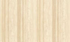 Фото Rasch Ancona 944242