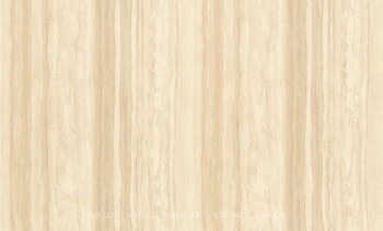 Фото Rasch Ancona 944242
