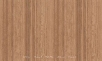 Фото Rasch Ancona 944266