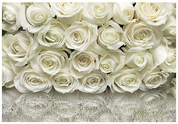 Фото Komar Products A la rose 8-314