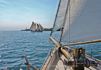 Фото Komar Products Sailing 8-526