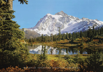 Фото Komar Products Rocky Mountains 8-005