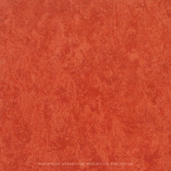 Фото Tarkett Veneto XF Terracotta 641