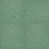 Фото DLW Scala Looselay Pur Basic Shade Green (65113-106)