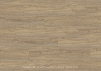 Фото Wineo 400 Wood Paradise Oak Essential (DLC00112)