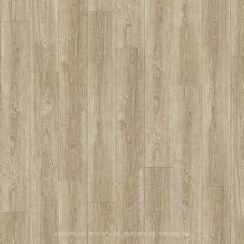 Фото IVC Moduleo Transform Verdon Oak 24280