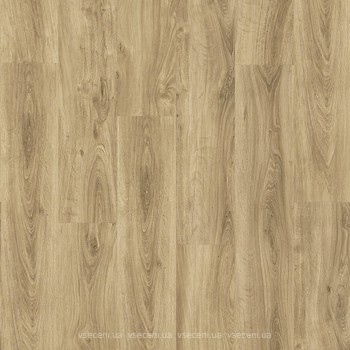 Фото Tarkett Starfloor Click 55 V4 English Oak Natural (35950027)