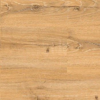 Фото IVC Echo Click Oak Live (22270)