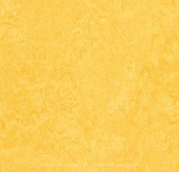 Фото Forbo Marmoleum Modular Colour Lemon Zest (t3251)