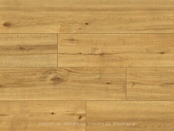 Фото Classen Ceramin Pro Nature Soledad (62538)