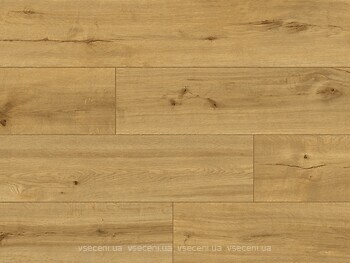 Фото Classen Ceramin Pro Nature Caldas (62543)