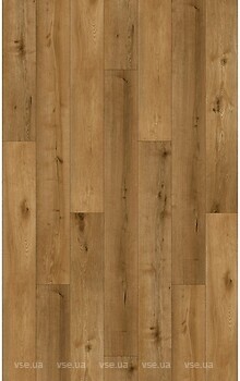 Фото APRO Authentic Gold Oak (AC-501-PL)
