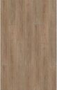 Фото APRO Wood Canyon Oak (WD-201-PL)