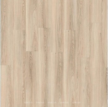 Фото IVC Solida Acoustic Rivera Oak 03220