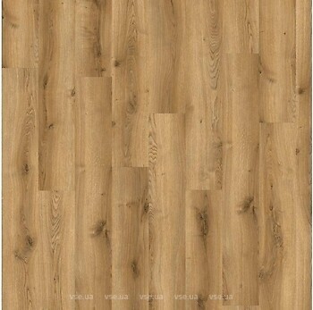 Фото IVC Solida Acoustic Traditional Oak 03826